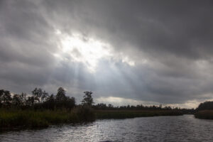 Natuurlijk in Jouw kracht in alle seizoenen.